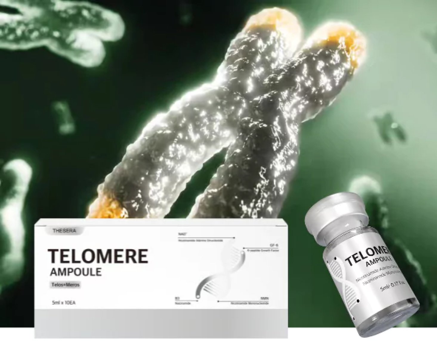 AMPOULE TELOMERE